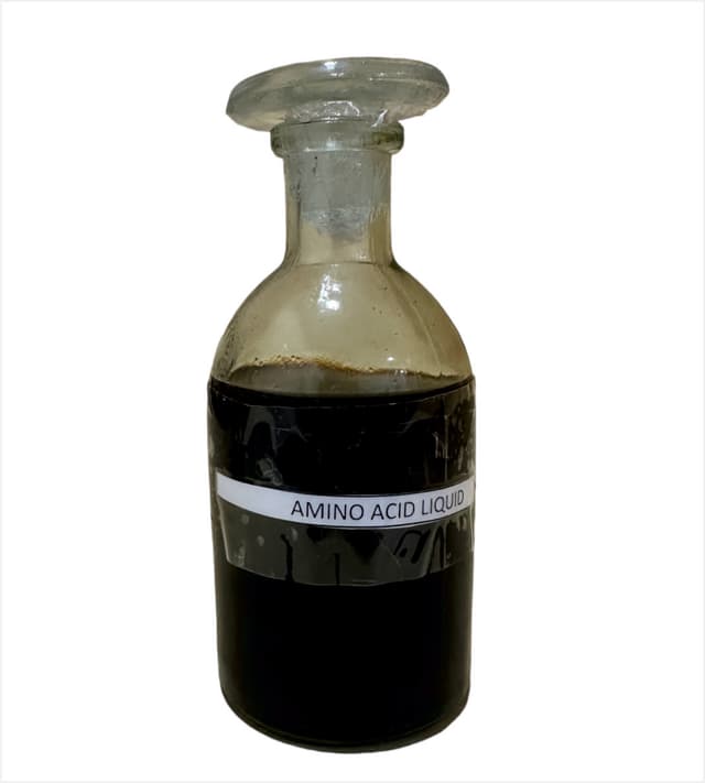 AMINO ACID ( LIQUID ) 