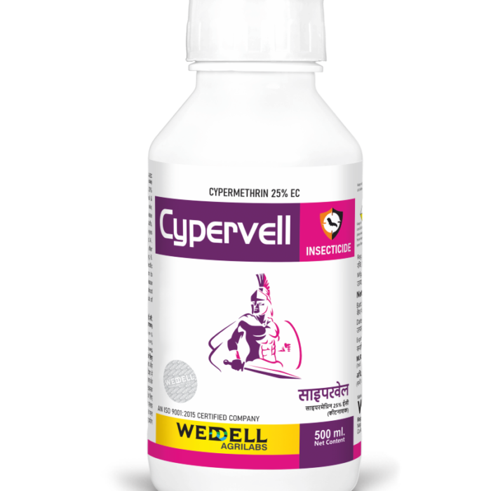 cyperwell