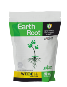 Earth Root