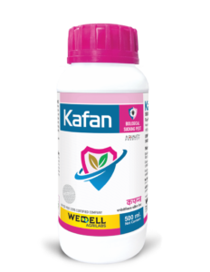 Kafan