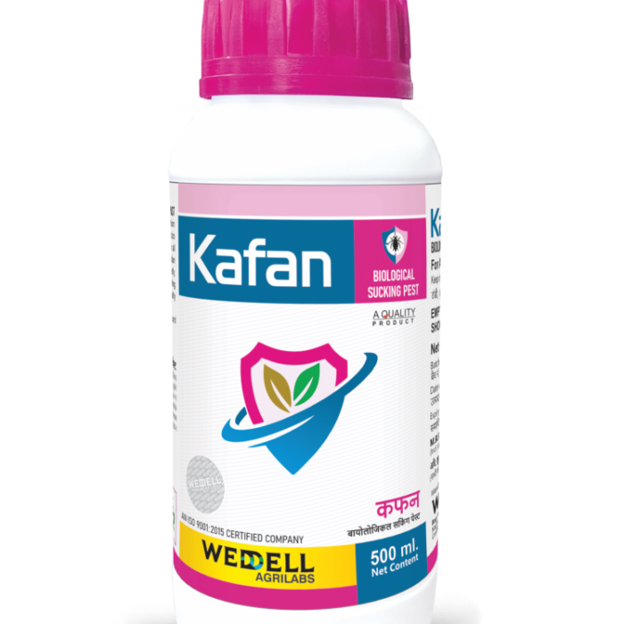 kafan
