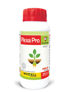 Plexa Pro