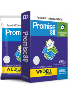 Promise 80