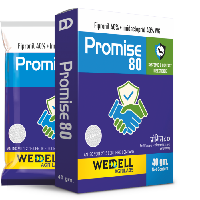 promise 80