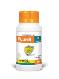 Pywell