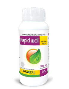 Rapid Well