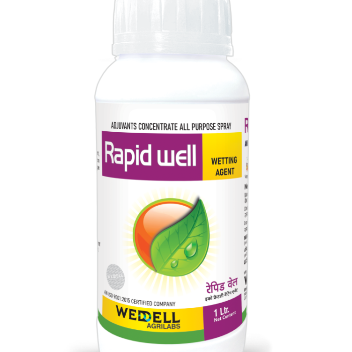 rapid well