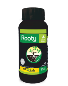 Rooty