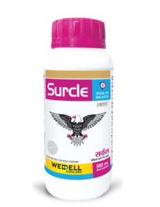 Surcle