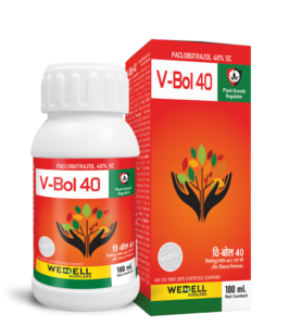 V Bol 40
