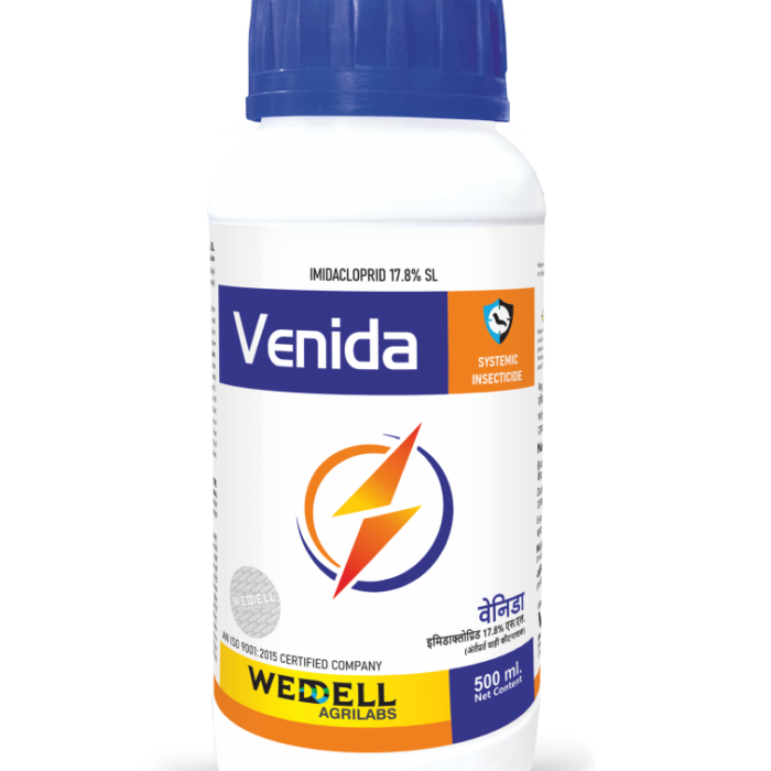 venida