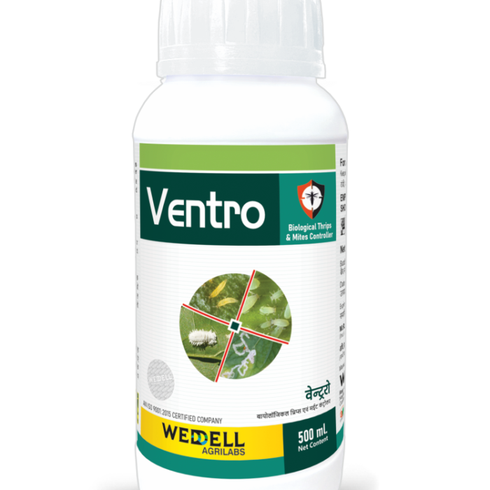 ventro