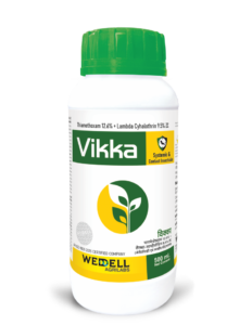 Vikka