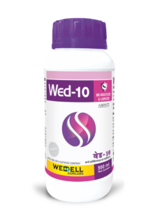 Wed 10