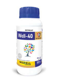 Well 40